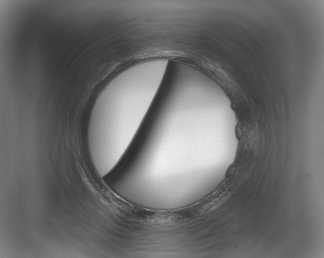 X0000084020358200702160832