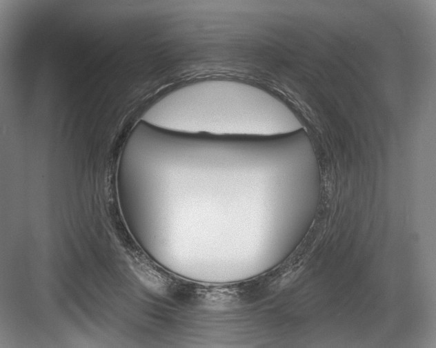 X0000084020359200702160832
