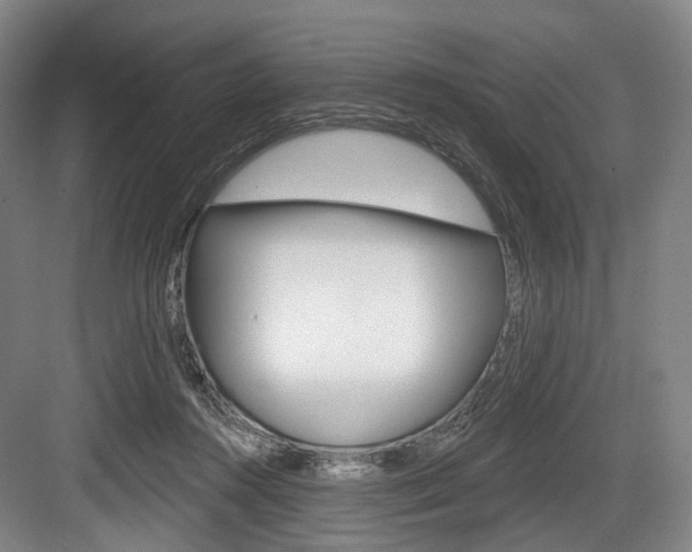 X0000084020360200702160832
