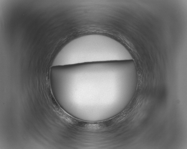 X0000084020361200702160832