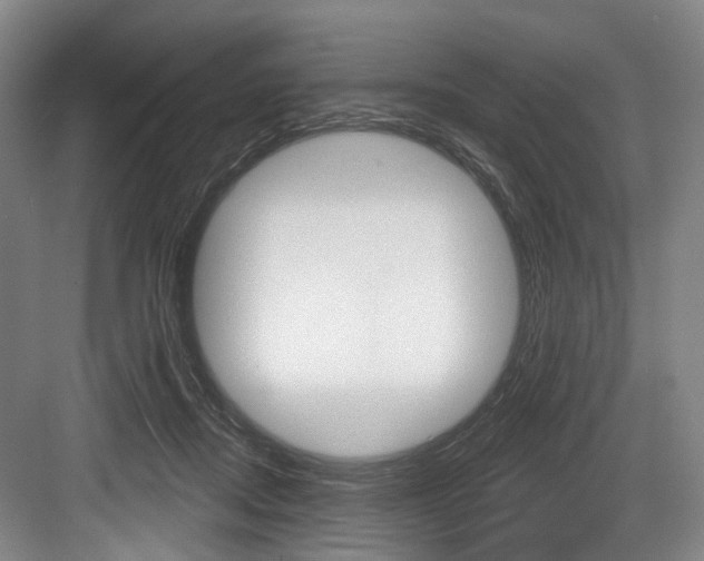 X0000084020362200702160832
