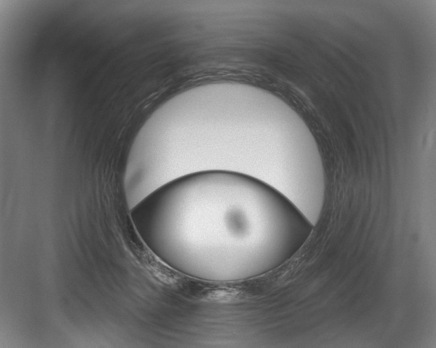 X0000084020364200702160832