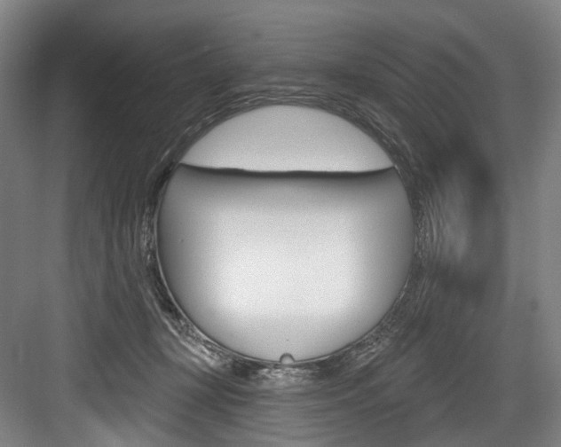 X0000084020367200702160832