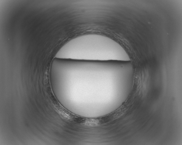 X0000084020369200702160832