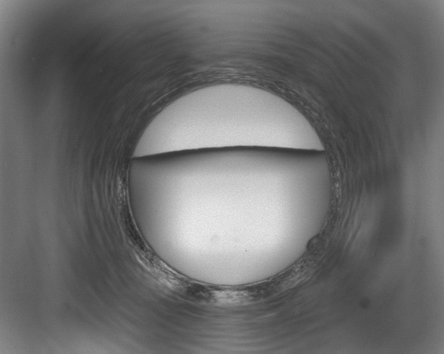 X0000084020371200702160832