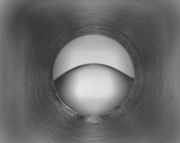 X0000084020372200702160832