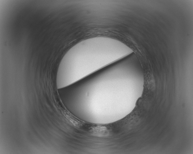 X0000084020374200702160832