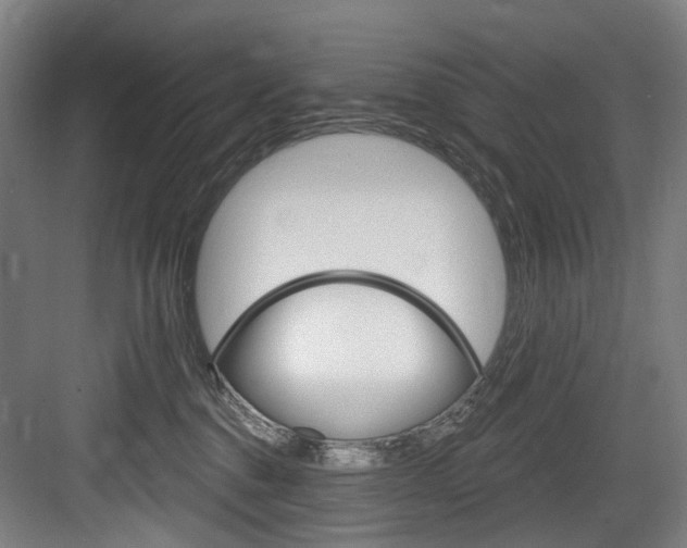 X0000084020376200702160832