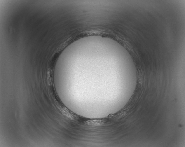 X0000084020378200702160832