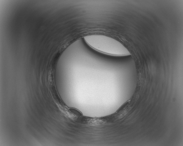 X0000084020379200702160832
