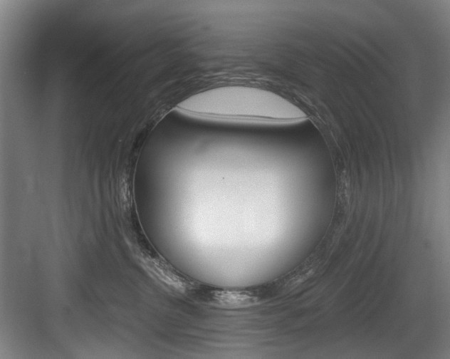 X0000084020380200702160832