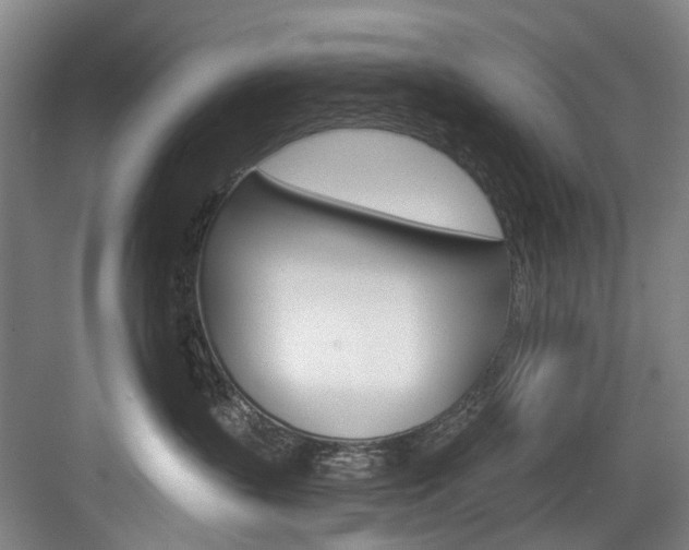 X0000084020383200702160832