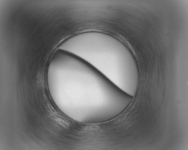 X0000084020386200702160832