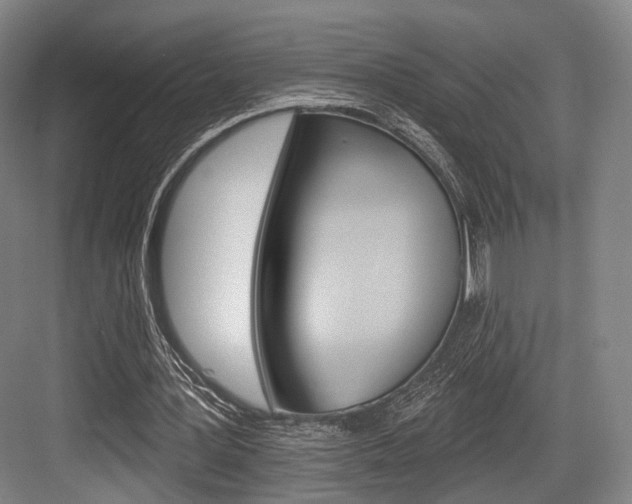 X0000084020387200702160832