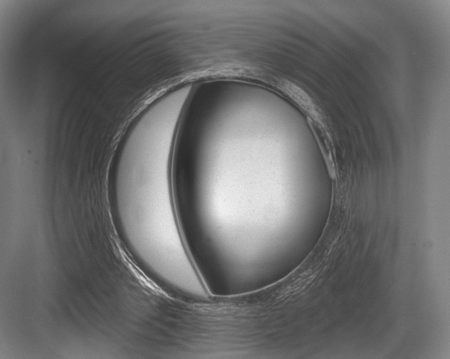X0000084020389200702160832