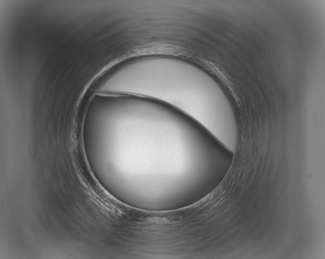 X0000084020392200702160832