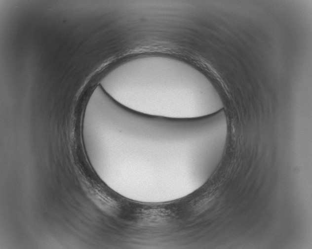 X0000084020396200702160831