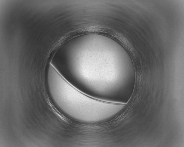 X0000084020397200702160831