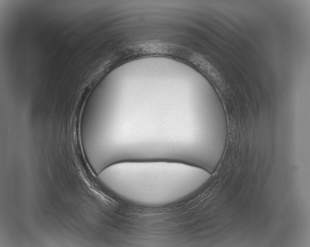 X0000084020398200702160831