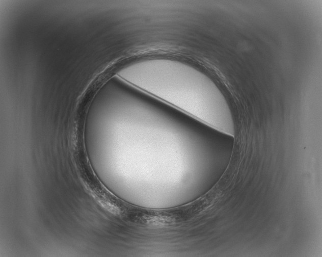 X0000084020400200702160831