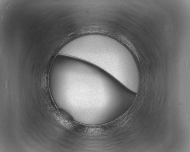 X0000084020401200702160831