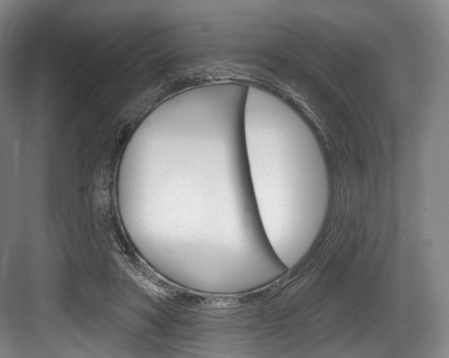 X0000084020402200702160831