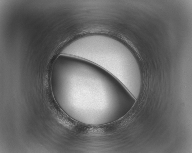 X0000084020403200702160831