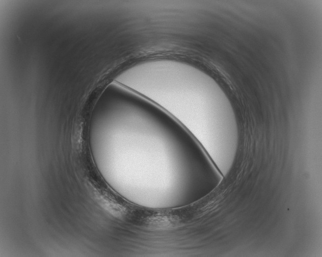 X0000084020404200702160831