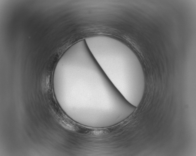 X0000084020406200702160831