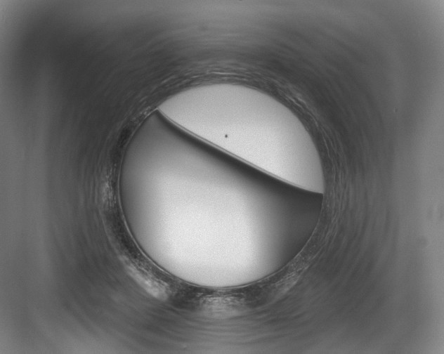 X0000084020408200702160831