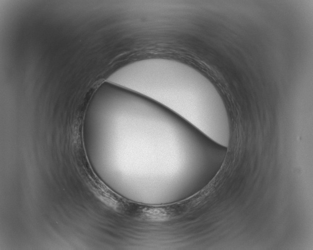 X0000084020409200702160831