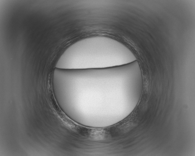 X0000084020410200702160831