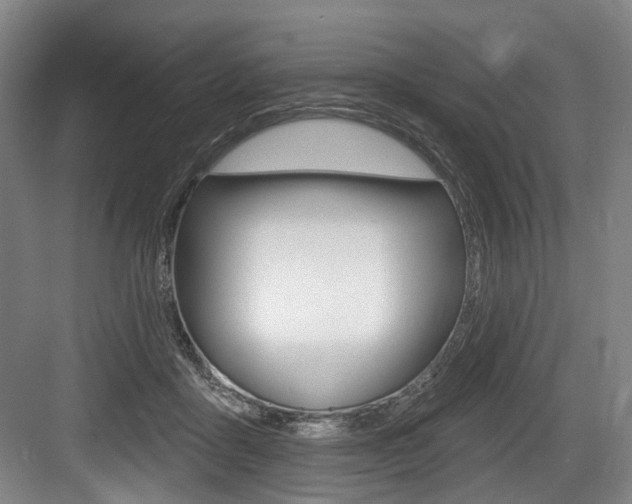 X0000084020411200702160831