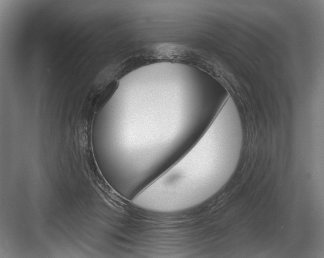 X0000084020413200702160831