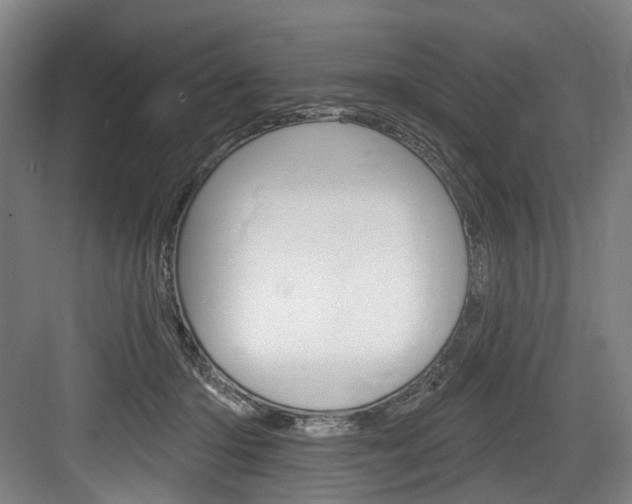X0000084020414200702160831