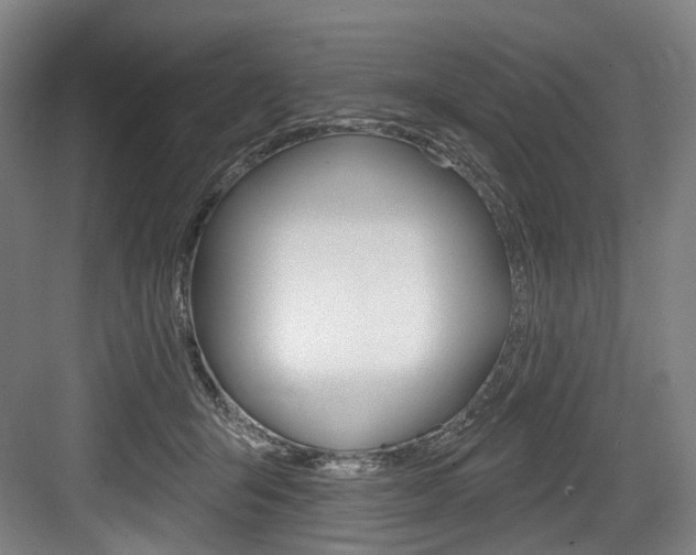 X0000084020415200702160831