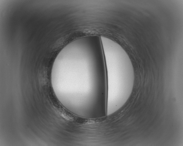 X0000084020416200702160831