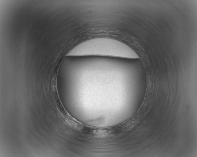 X0000084020419200702160831