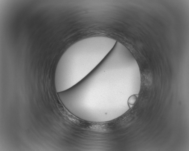 X0000084020422200702160831