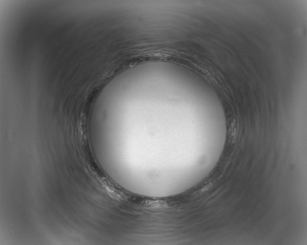 X0000084020424200702160831