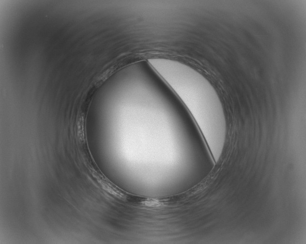 X0000084020425200702160831