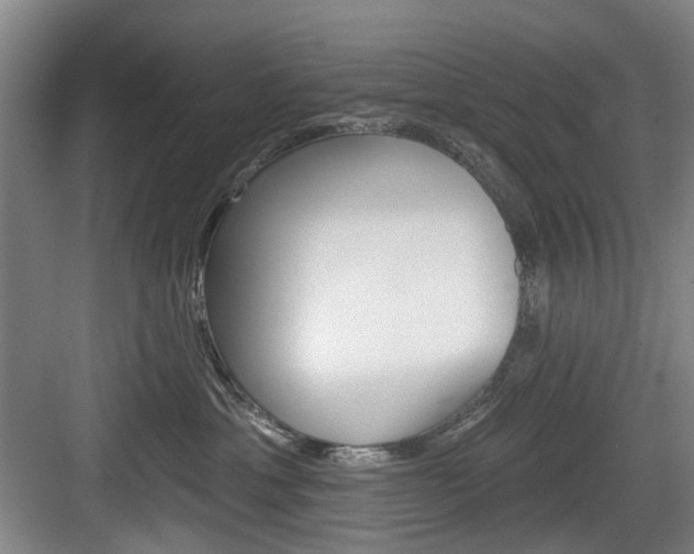 X0000084020429200702160831