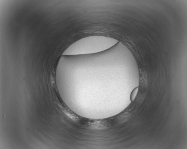 X0000084020430200702160831