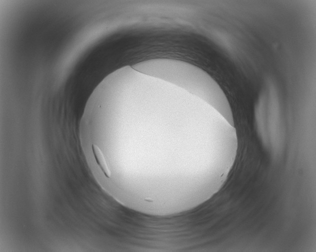 X0000084020431200702160831