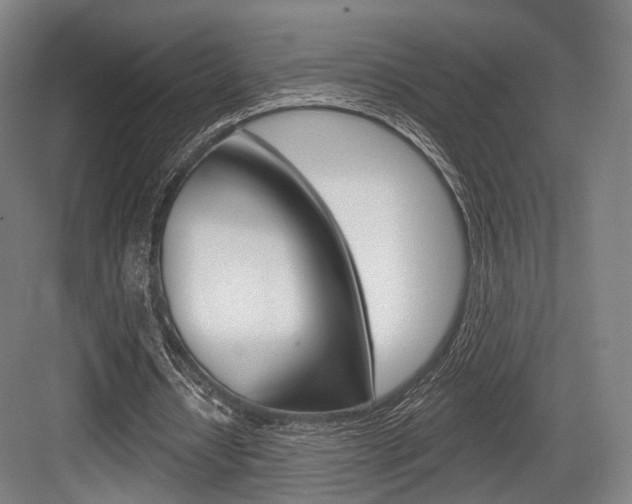 X0000084020434200702160830