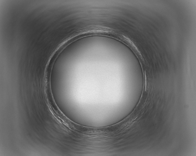 X0000084020435200702160830