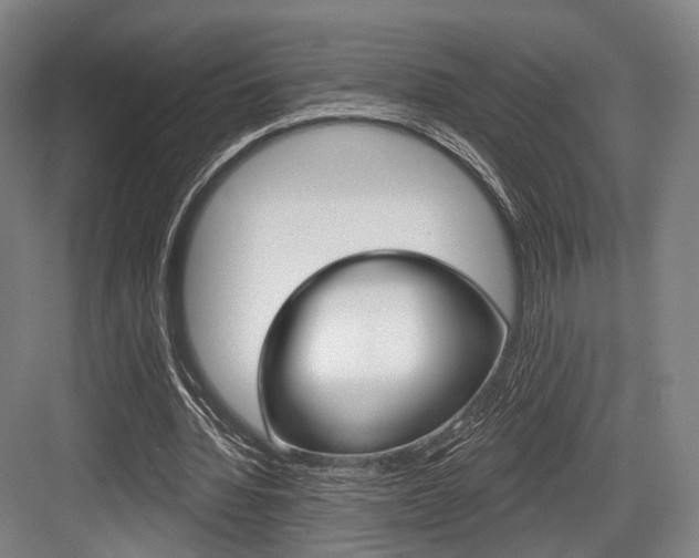 X0000084020436200702160830