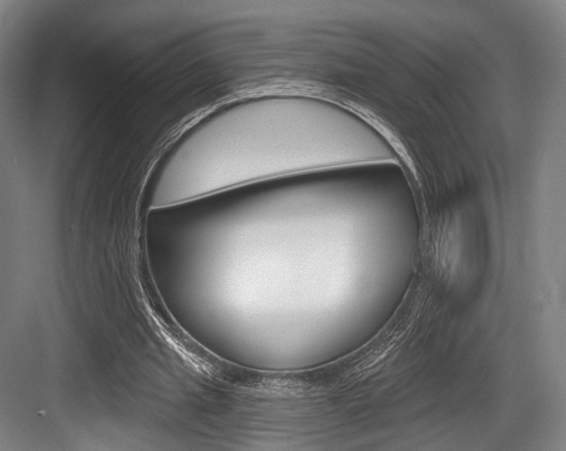 X0000084020437200702160830