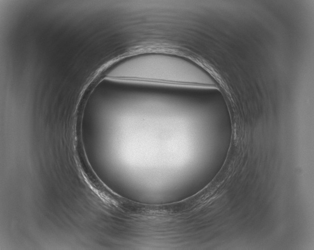 X0000084020438200702160830