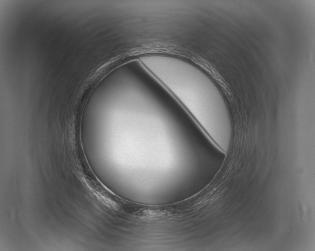 X0000084020442200702160830